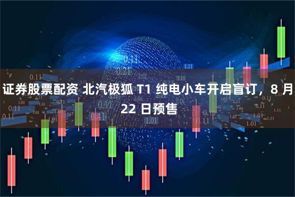 证券股票配资 北汽极狐 T1 纯电小车开启盲订，8 月 22 日预售